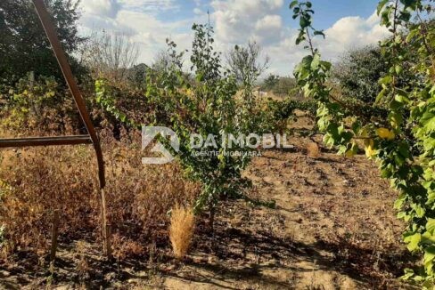 изображение_viber_2023-11-02_10-44-16-511