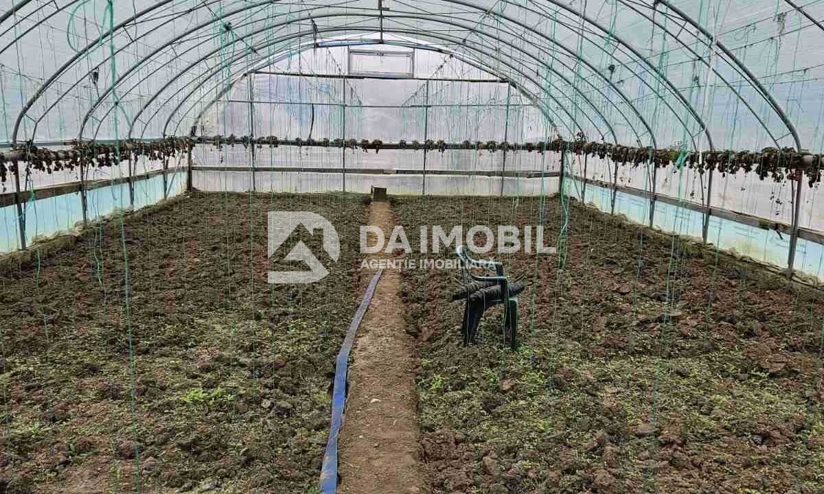 изображение_viber_2024-03-21_15-31-44-751