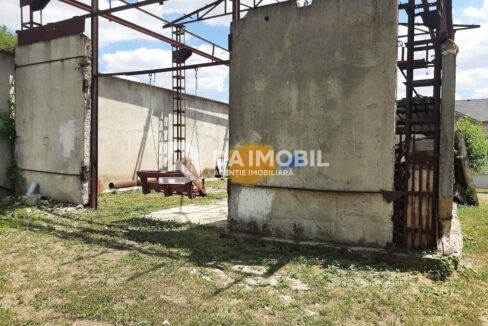 изображение_viber_2024-07-04_16-48-00-600