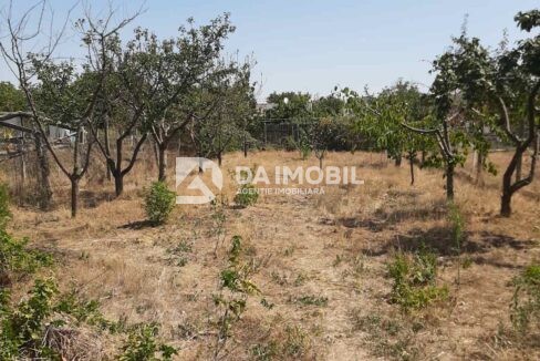 изображение_viber_2024-08-23_10-17-16-515