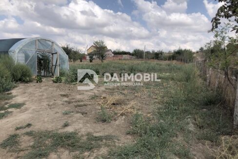 изображение_viber_2024-09-04_16-54-26-331