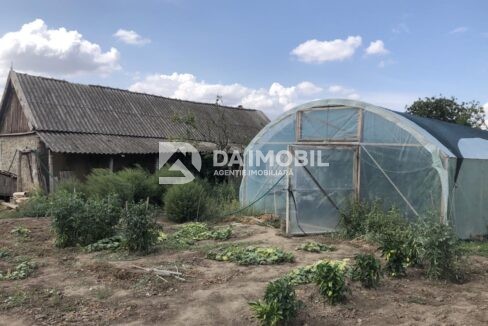 изображение_viber_2024-09-04_16-54-26-817