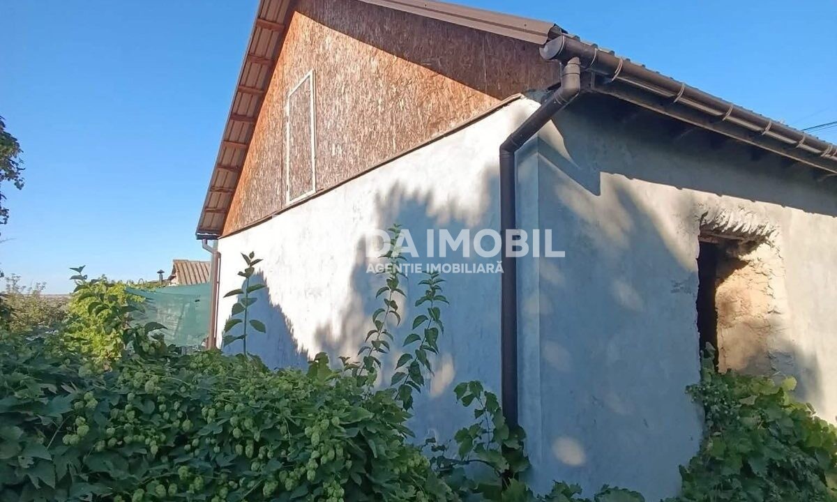 изображение_viber_2025-09-23_09-28-20-622