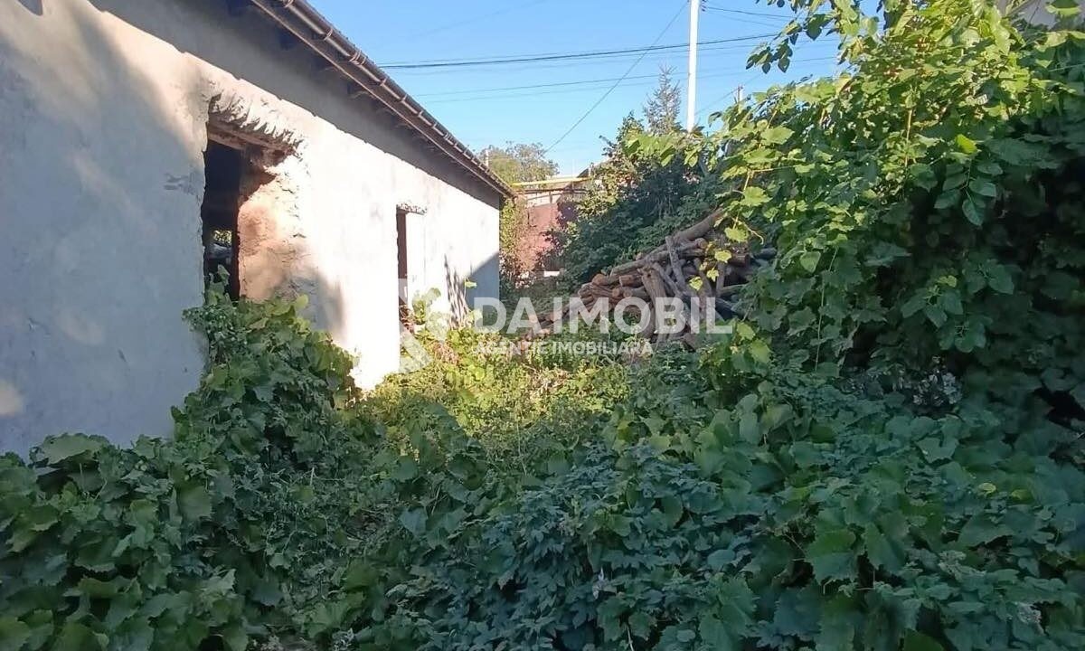 изображение_viber_2025-09-23_09-28-20-950