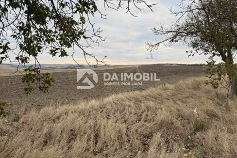 изображение_viber_2025-10-02_11-29-29-797