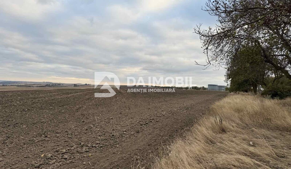 изображение_viber_2025-10-02_11-29-30-112