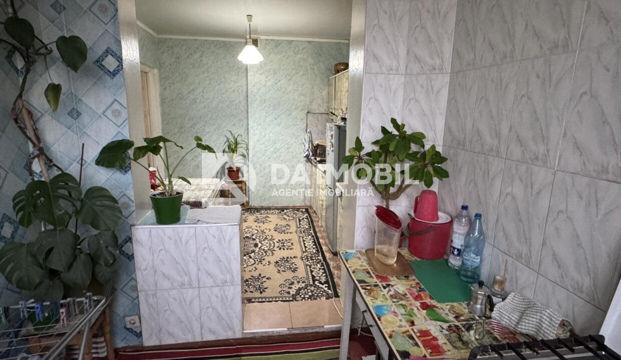 изображение_viber_2025-10-08_18-05-33-204