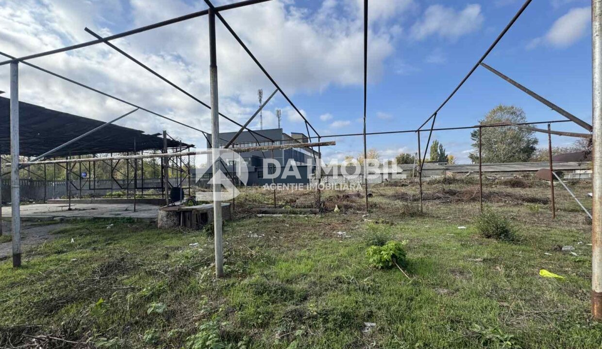 изображение_viber_2025-10-22_11-17-23-259