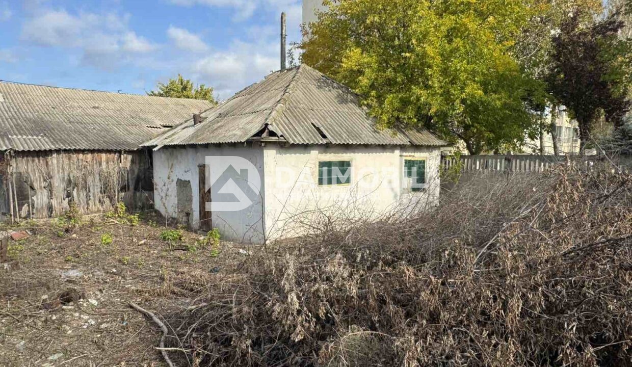 изображение_viber_2025-10-22_11-17-23-285