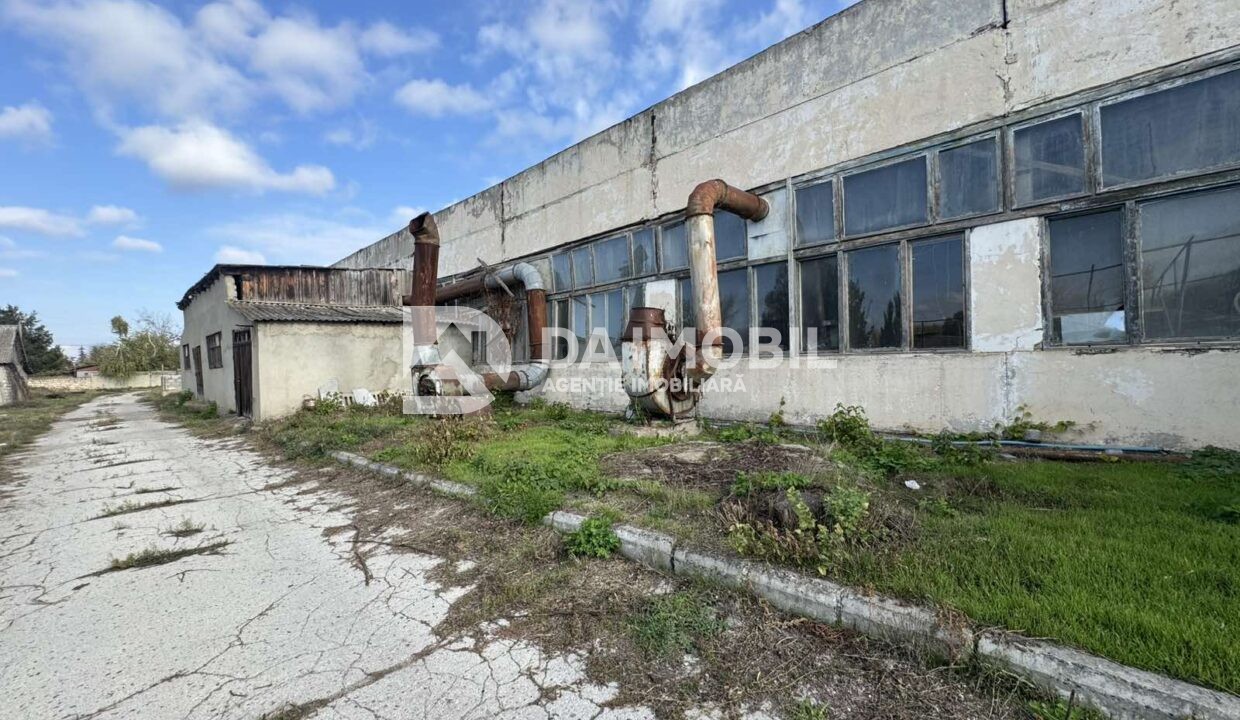 изображение_viber_2025-10-22_11-17-23-419