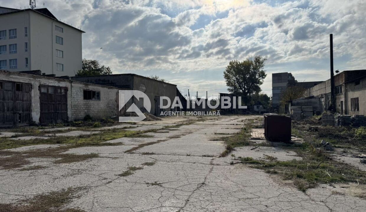 изображение_viber_2025-10-22_11-17-23-506