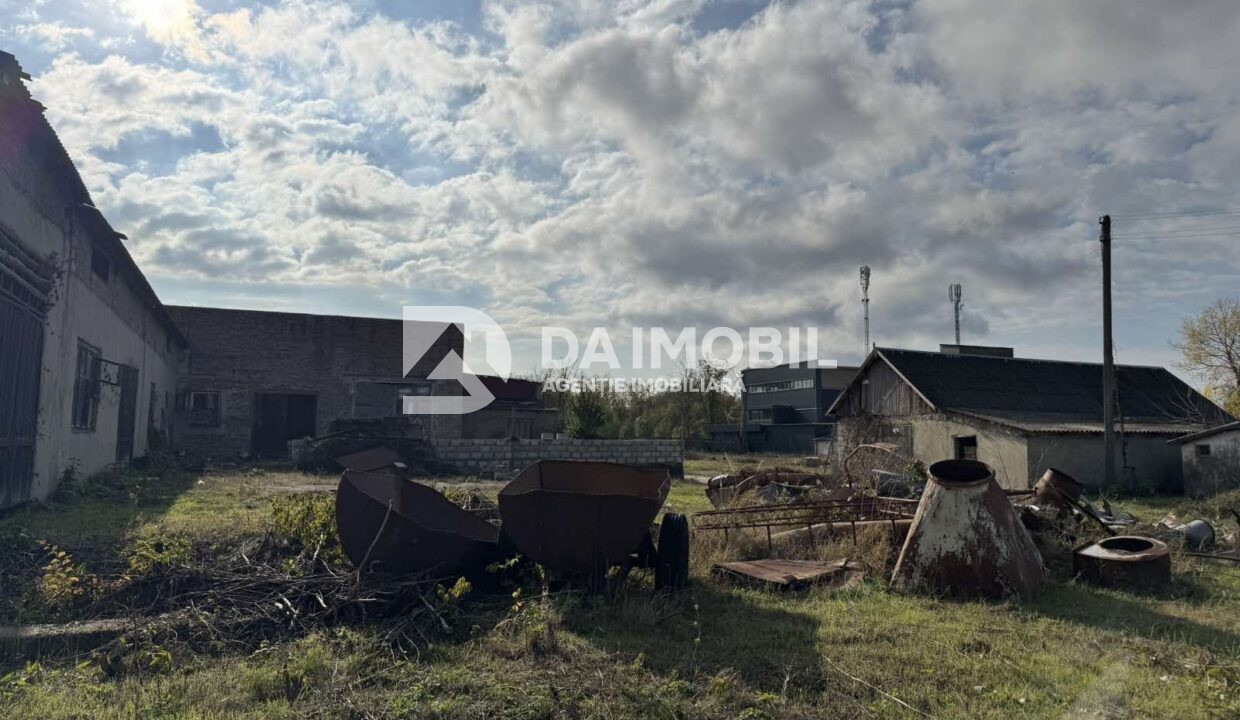 изображение_viber_2025-10-22_11-17-23-616