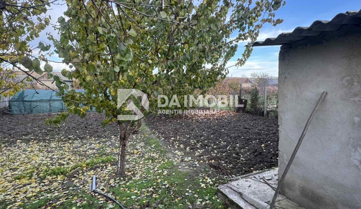 изображение_viber_2025-10-31_10-01-24-438