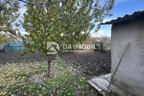 изображение_viber_2025-10-31_10-01-24-438