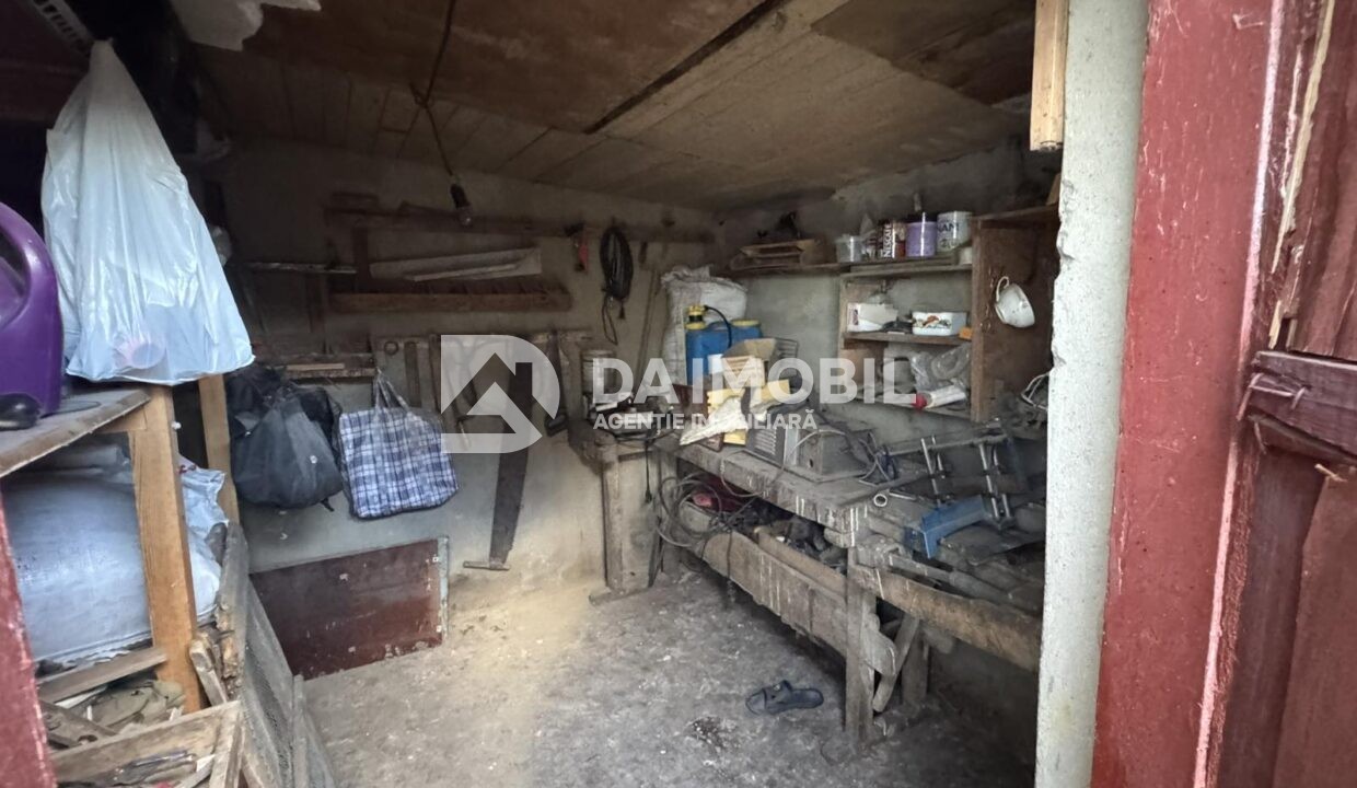 изображение_viber_2025-10-31_10-02-23-017