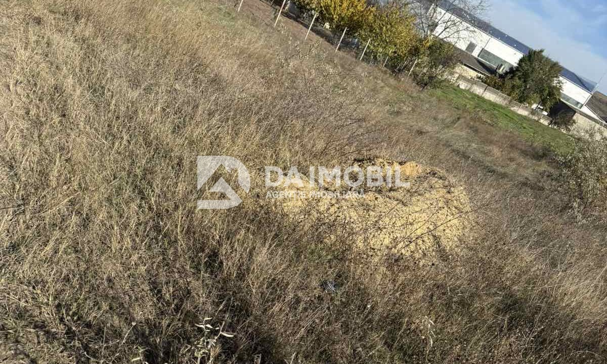 изображение_viber_2025-10-31_12-28-38-103