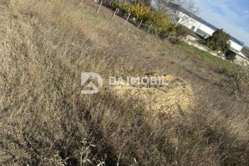 изображение_viber_2025-10-31_12-28-38-103