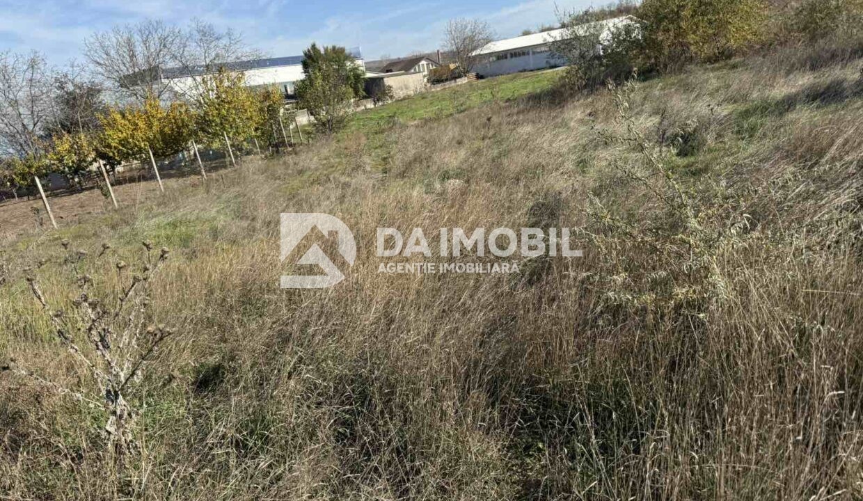 изображение_viber_2025-10-31_12-28-41-768