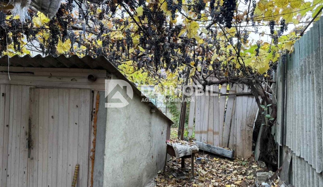 изображение_viber_2025-11-05_10-33-30-274