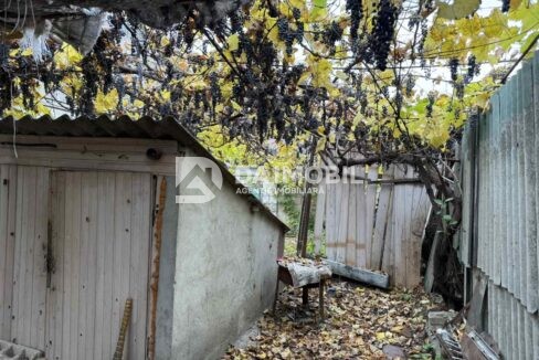 изображение_viber_2025-11-05_10-33-30-274