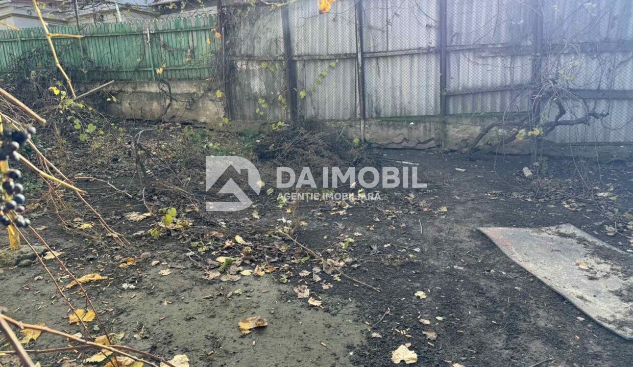 изображение_viber_2025-11-13_15-40-53-144