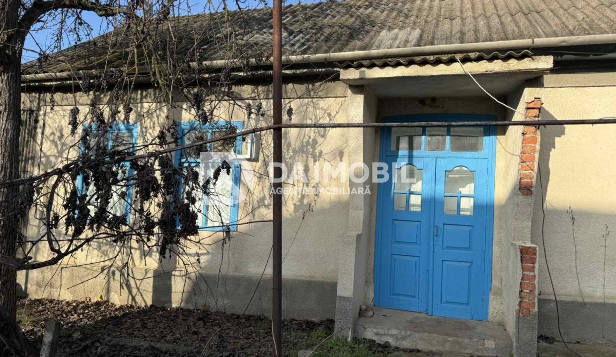 изображение_viber_2025-12-19_15-58-12-803