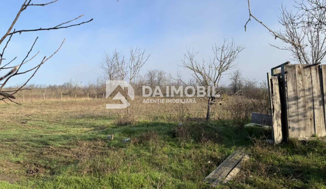 изображение_viber_2025-12-19_15-58-26-202