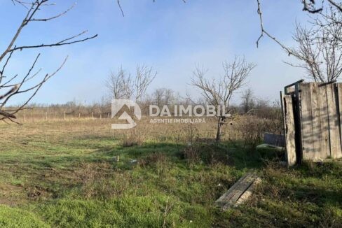 изображение_viber_2025-12-19_15-58-26-202