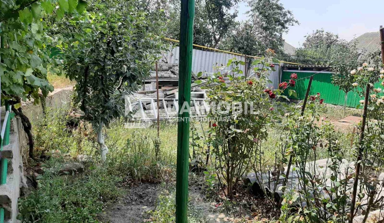 изображение_viber_2024-07-17_12-27-52-021