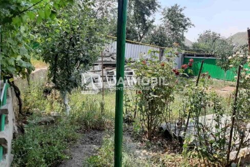 изображение_viber_2024-07-17_12-27-52-021