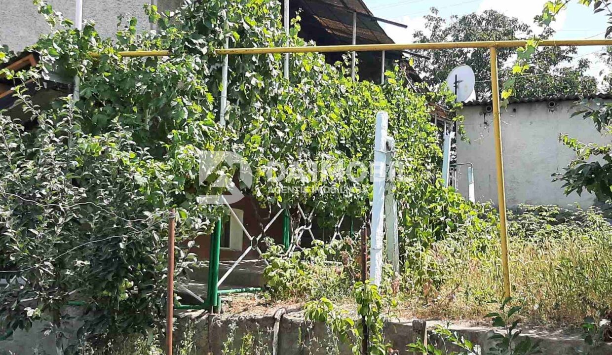 изображение_viber_2024-07-17_12-27-53-046