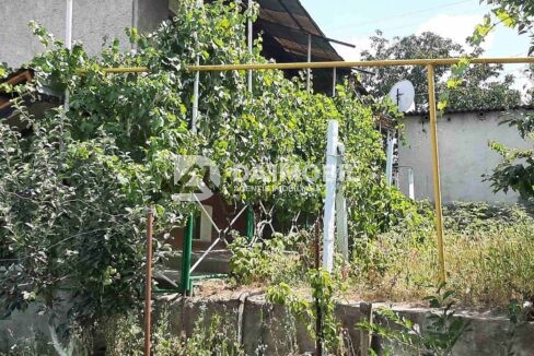 изображение_viber_2024-07-17_12-27-53-046