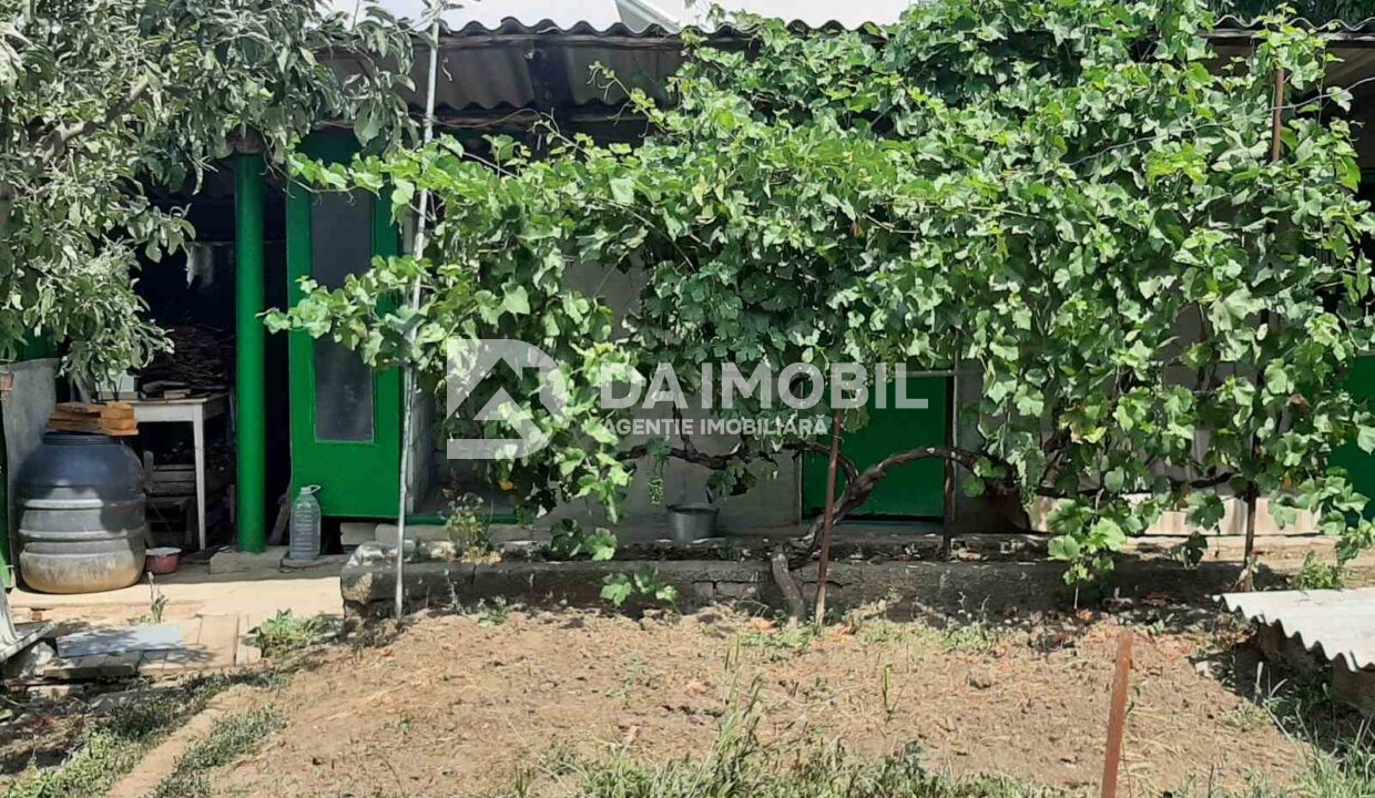 изображение_viber_2024-07-17_12-27-53-149