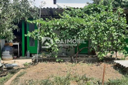 изображение_viber_2024-07-17_12-27-53-149