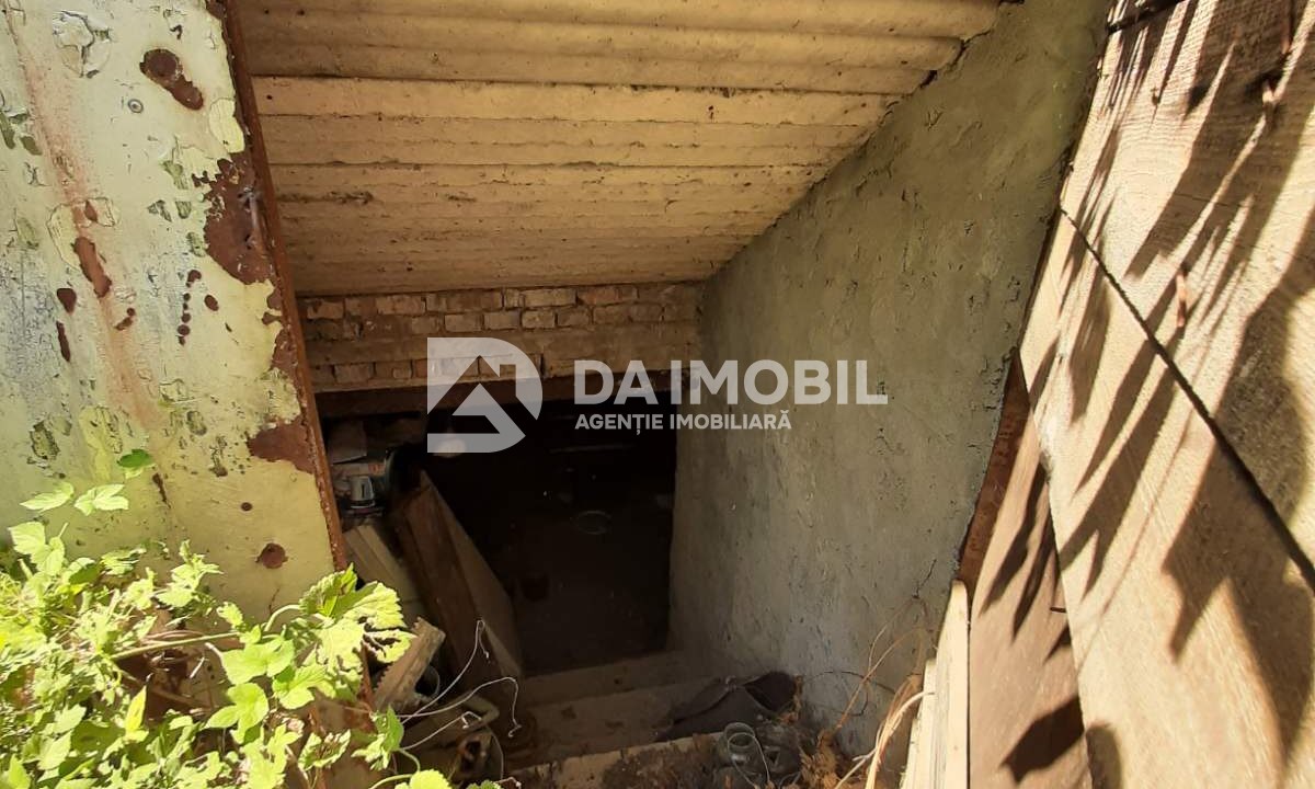 изображение_viber_2024-08-23_10-17-16-158