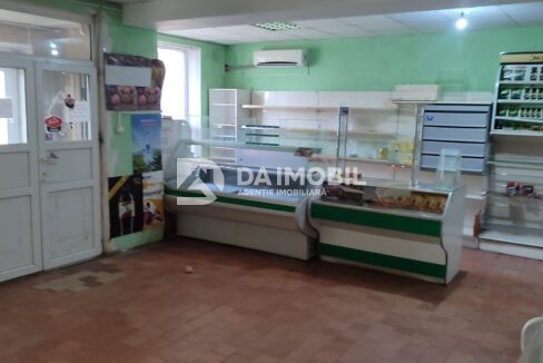 изображение_viber_2026-02-03_16-24-10-591