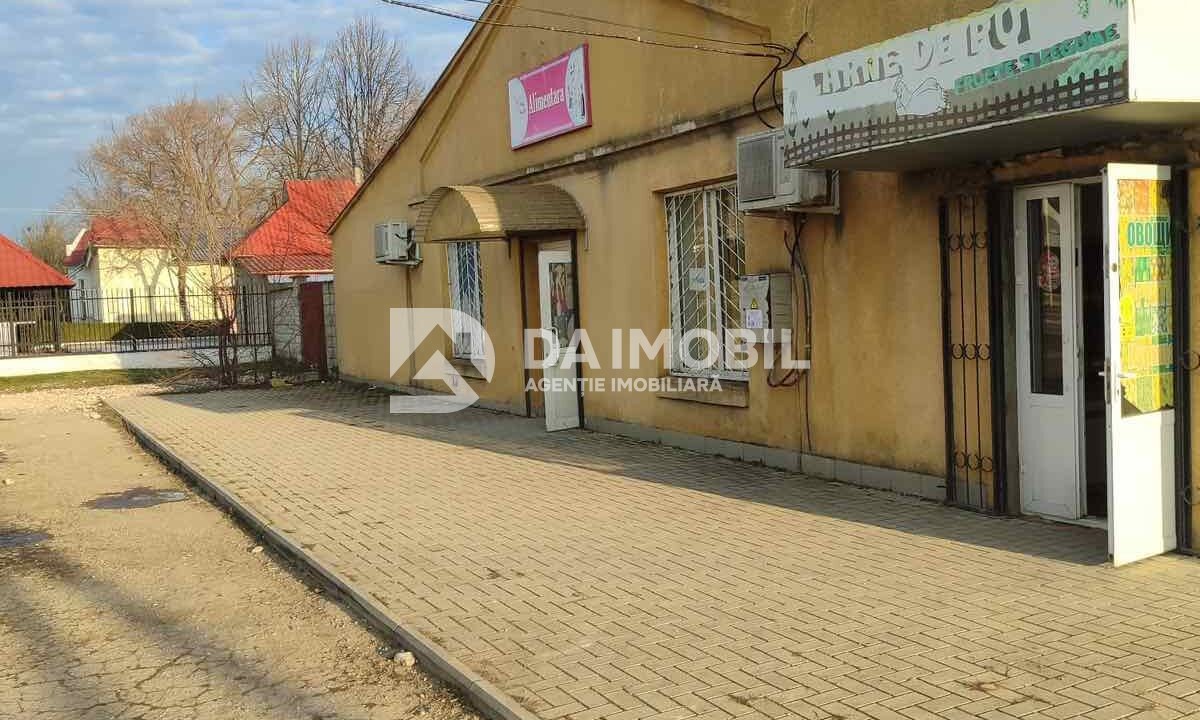 изображение_viber_2026-02-03_16-24-11-082