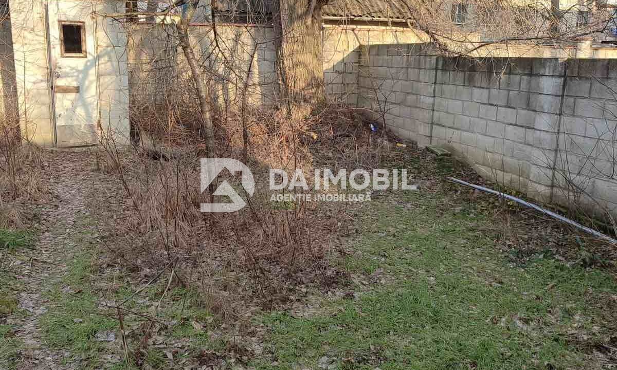 изображение_viber_2026-02-03_16-24-11-397