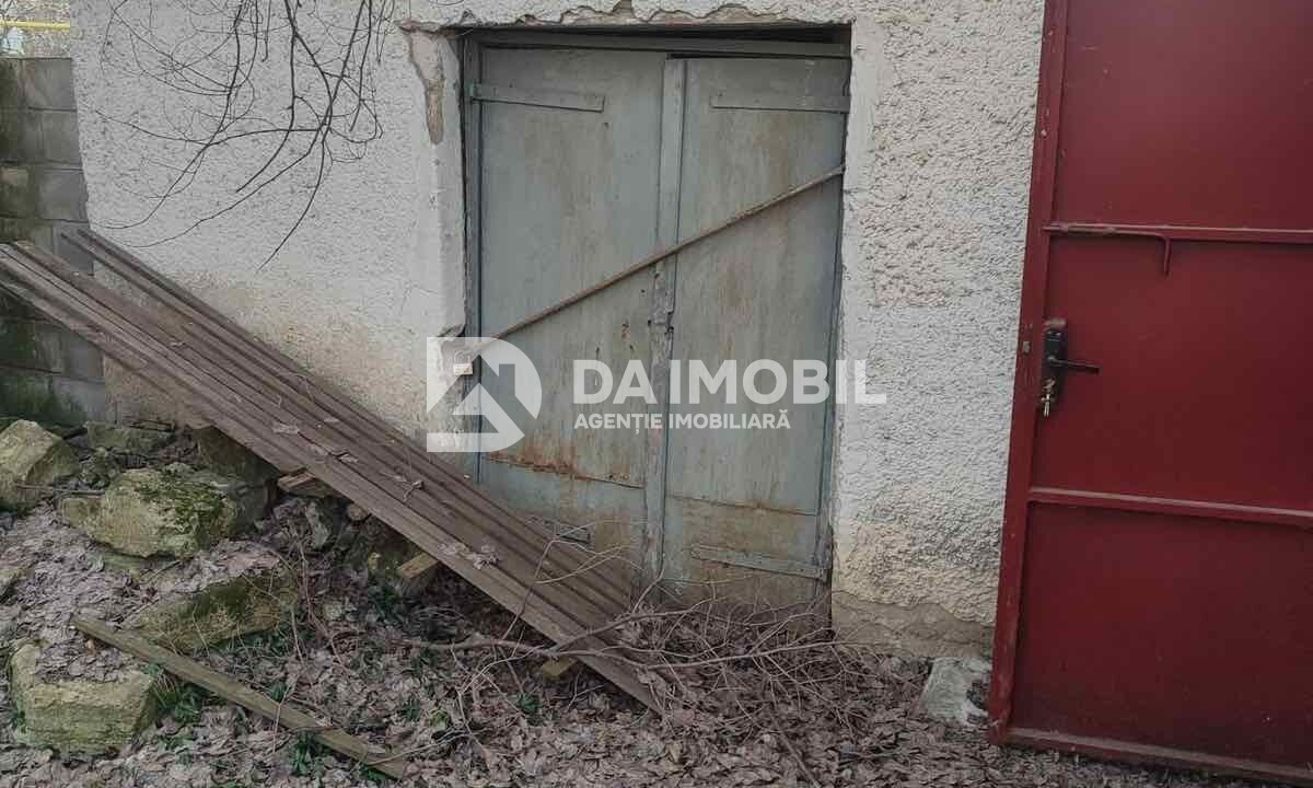 изображение_viber_2026-02-03_16-24-11-676