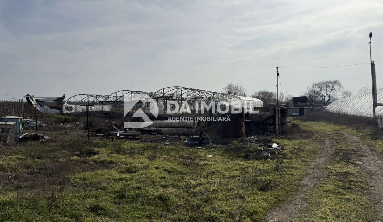 изображение_viber_2026-03-06_12-48-18-167