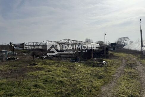 изображение_viber_2026-03-06_12-48-18-167