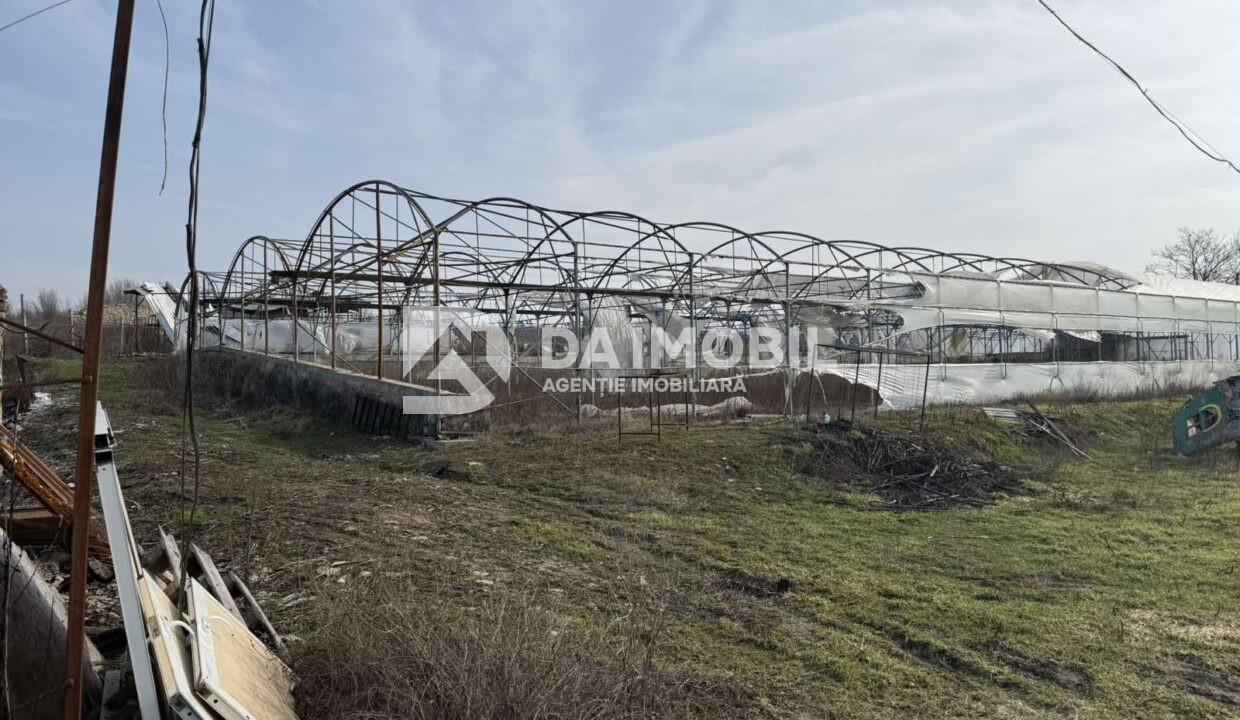 изображение_viber_2026-03-06_12-48-22-115