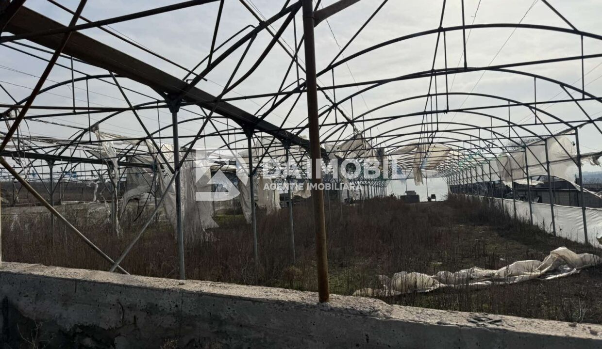 изображение_viber_2026-03-06_12-48-29-497