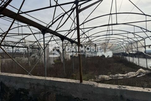 изображение_viber_2026-03-06_12-48-29-497