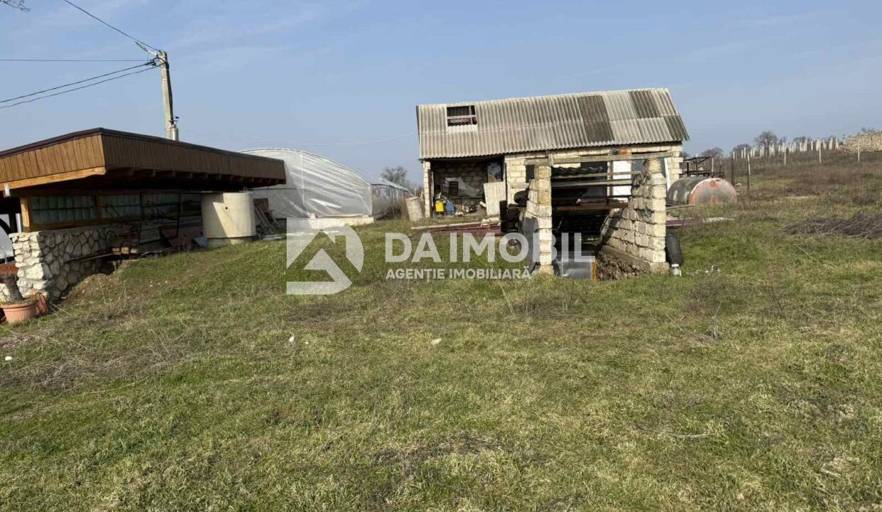 изображение_viber_2026-03-06_12-48-30-370