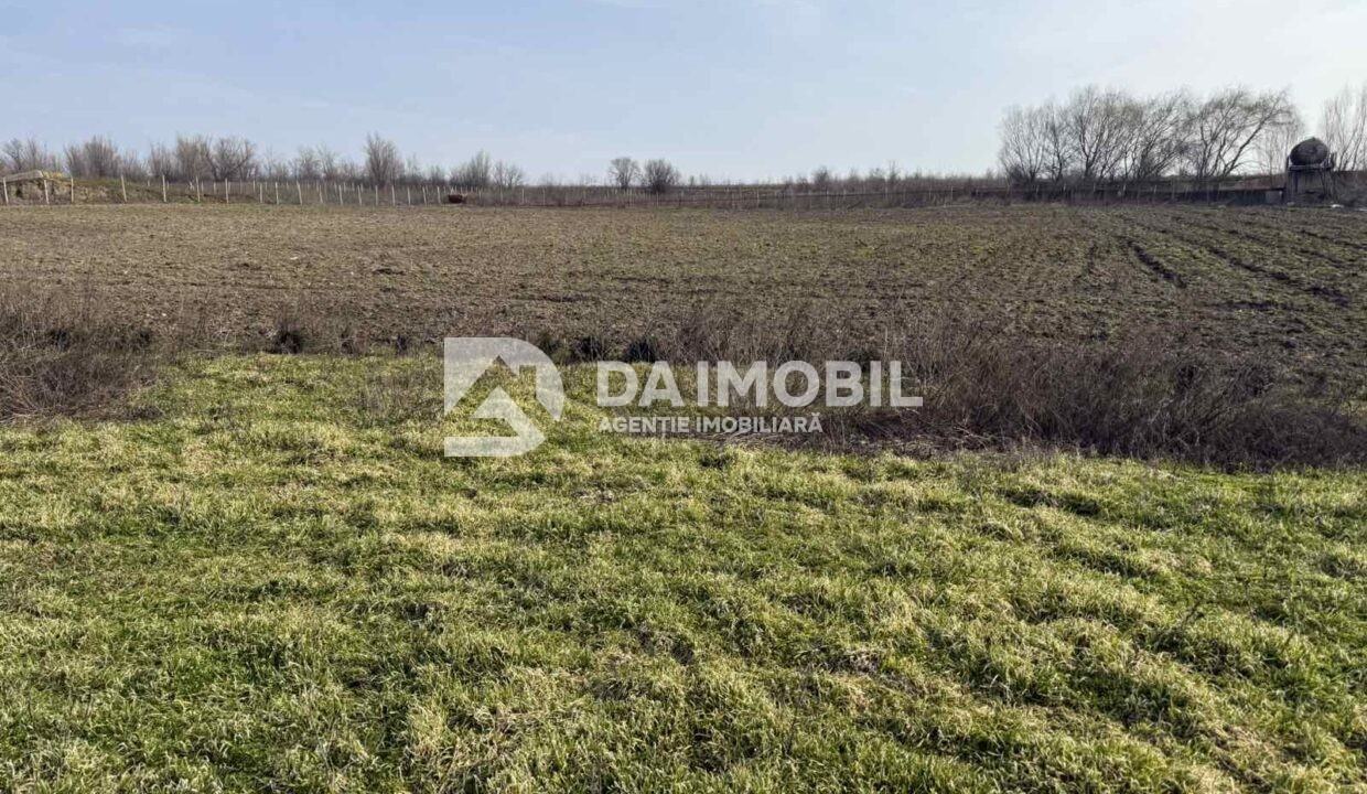 изображение_viber_2026-03-06_12-48-30-783