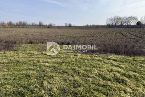 изображение_viber_2026-03-06_12-48-30-783