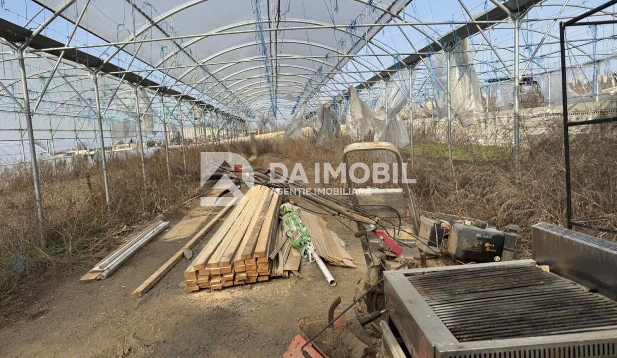 изображение_viber_2026-03-06_12-48-31-615