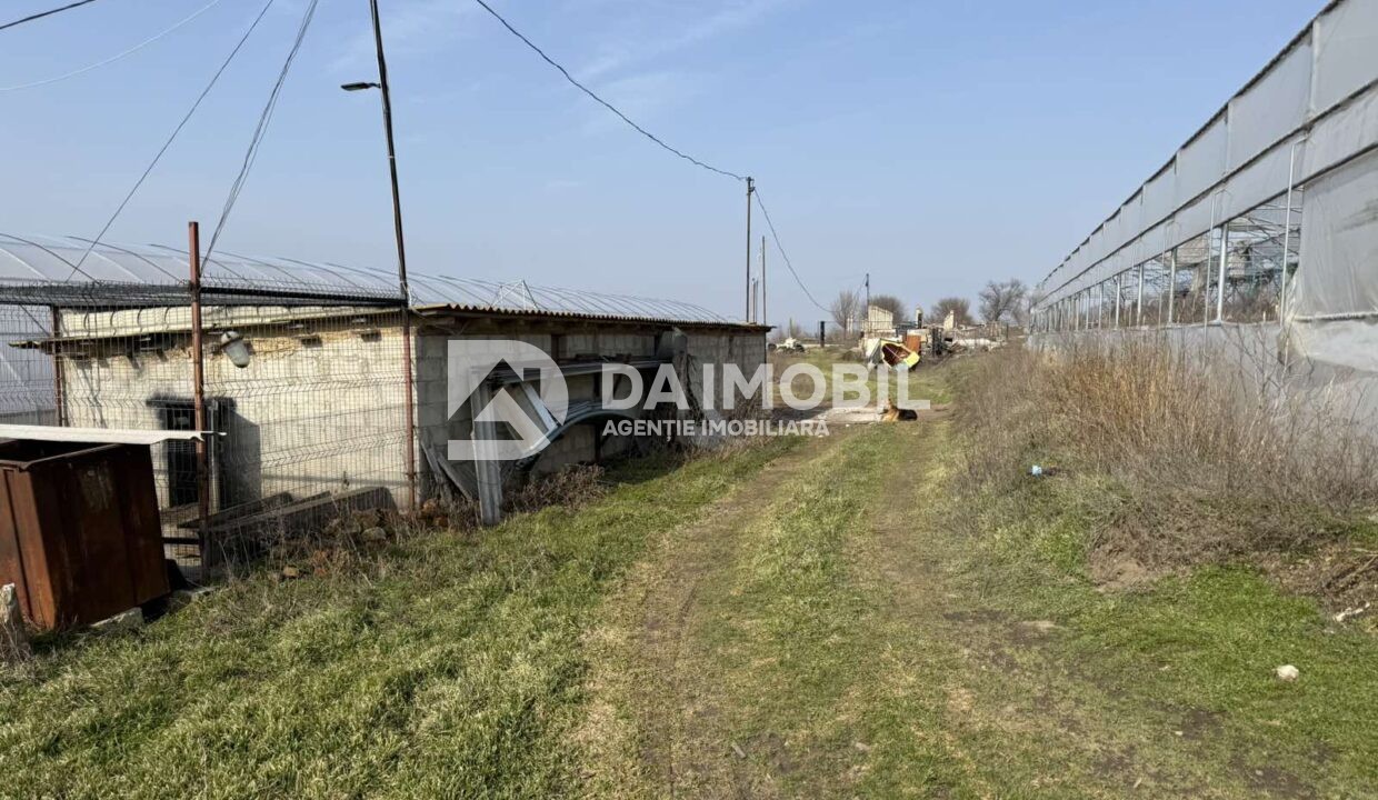 изображение_viber_2026-03-06_12-48-31-841