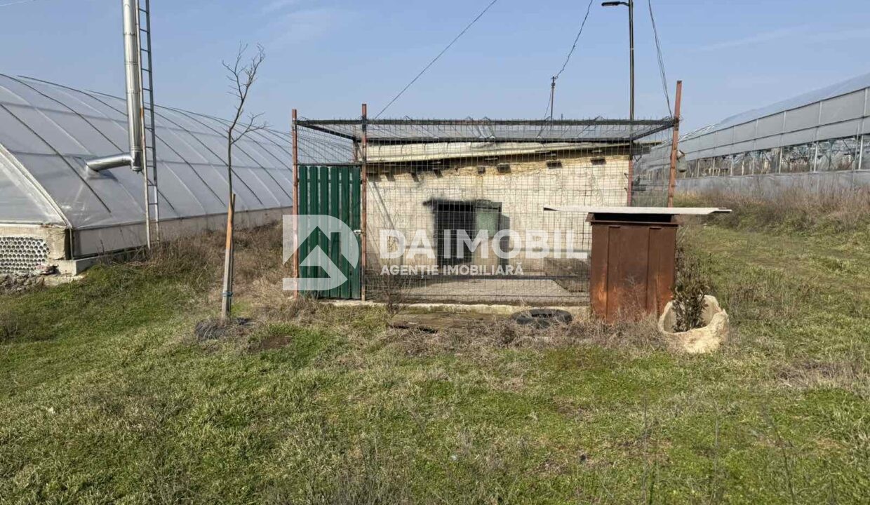 изображение_viber_2026-03-06_12-48-32-083